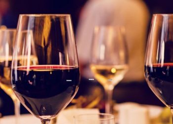 Weinwissen für Anfänger – 7 Dinge, die du noch nicht wusstest