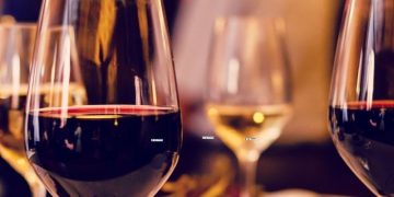 Weinwissen für Anfänger – 7 Dinge, die du noch nicht wusstest