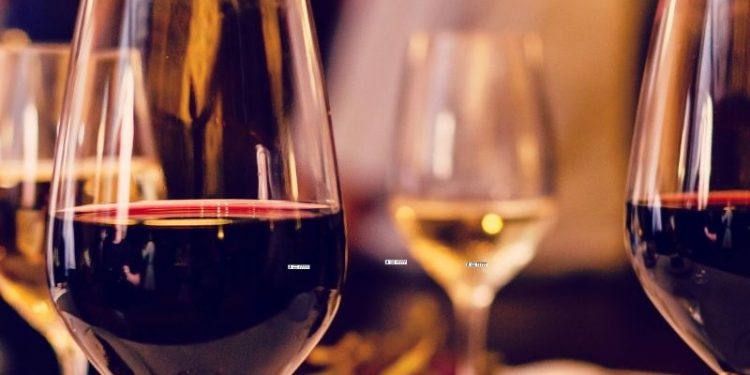 Weinwissen für Anfänger – 7 Dinge, die du noch nicht wusstest